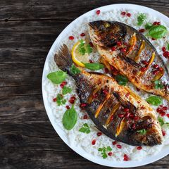 Baruthane Balıkçısı