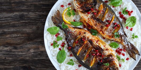 Shev Fish