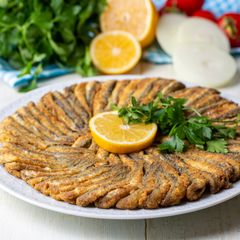 Tek Balıkçım