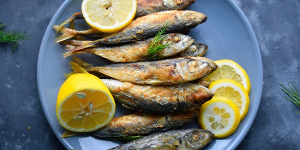 Balık ve Deniz Ürünleri