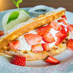 Manneken Belgium Waffle
