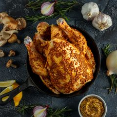 Gezen Tavuk Dünyası