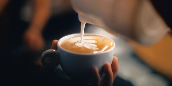 Baristocrat 3 Rd Wave Cafe & Roastery