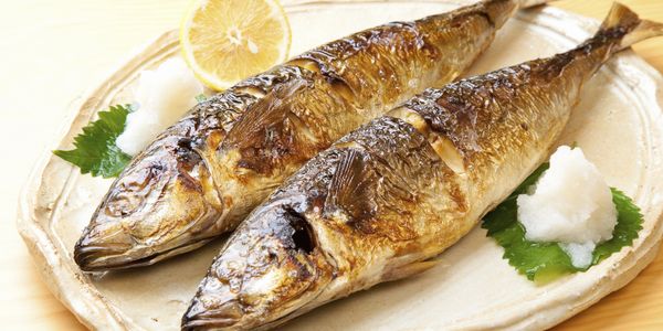 Bodrum Balık Ekmek
