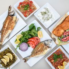 Balık Dünyası