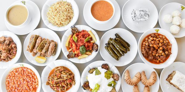 Zeytin Dalı