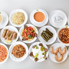 Zeytin Dalı